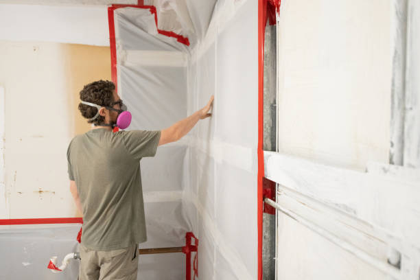 Best Crawl Space Mold Remediation  in Payson, AZ