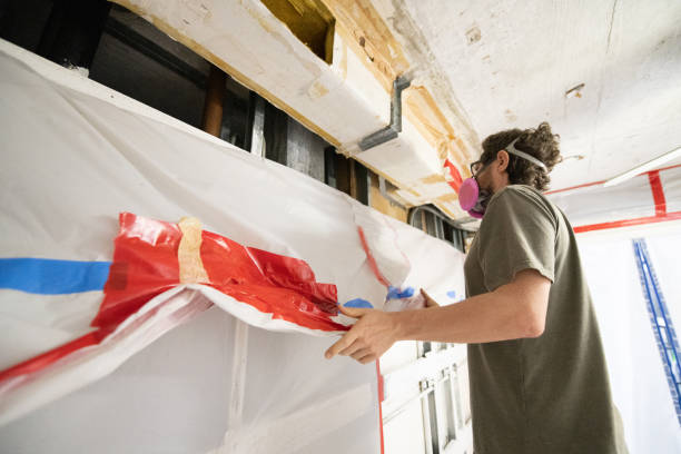 Best Air Quality Testing for Mold Spores  in Payson, AZ