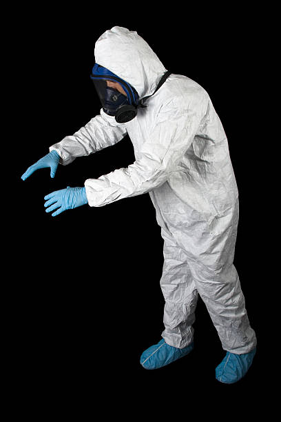Best Comprehensive Air Testing for Mold Contaminants  in Payson, AZ